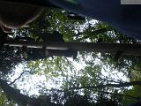 jugendausflug_kletterpark_37